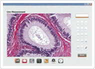 Caliper Pro (Micro Measurements Software)